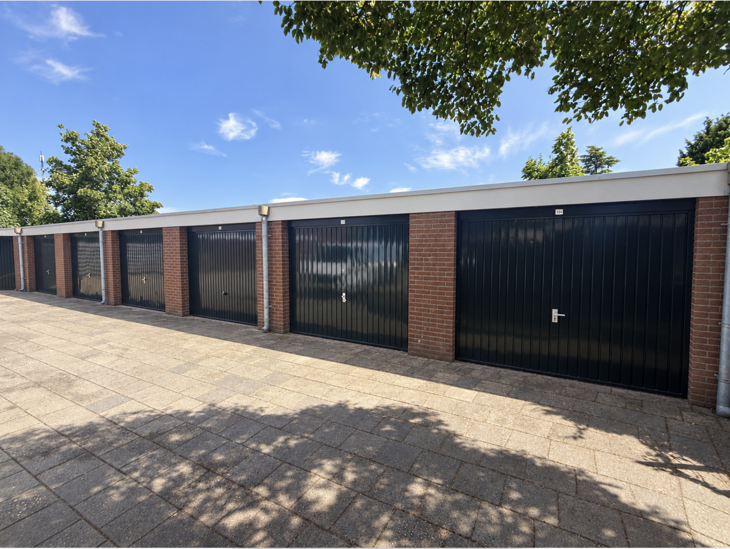 Treubstraat 516